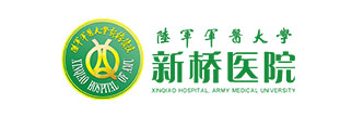 重庆新桥
