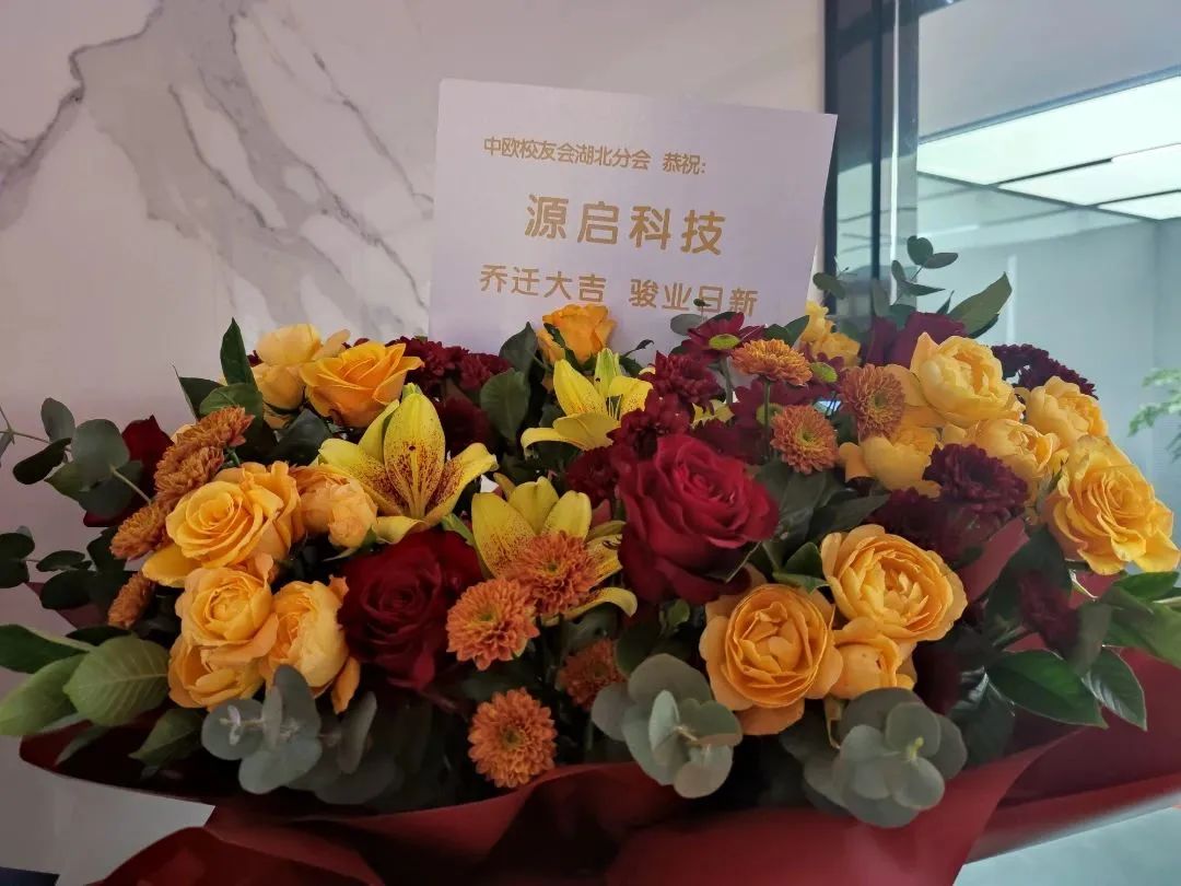 IMG_20230208_090308.jpg 图片