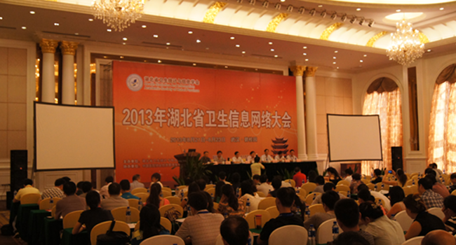 2013湖北省卫生信息网络大会