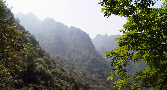 金秋登金顶，问道武当山